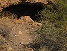 photo thumbnail #12