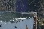 photo thumbnail #10