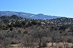 photo thumbnail #7