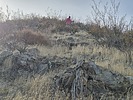 photo thumbnail #7