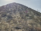 photo thumbnail #9