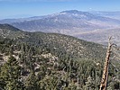 2025-01-16 :3: Toro Peak :: DixieFlyer