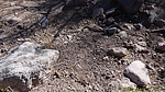 photo thumbnail #15