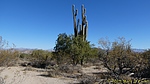 photo thumbnail #3
