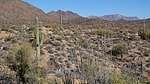 photo thumbnail #6