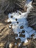 photo thumbnail #11