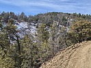 2025-02-03 :2: Mount Ord from Slate Creek TH :: DixieFlyer