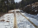 photo thumbnail #3