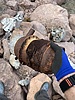photo thumbnail #9