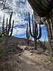 photo thumbnail #7