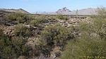 photo thumbnail #5