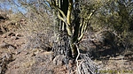 photo thumbnail #2