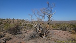 photo thumbnail #4