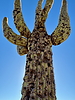 photo thumbnail #5