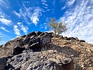 photo thumbnail #8