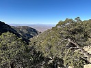 photo thumbnail #3