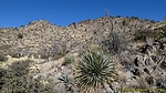 photo thumbnail #13