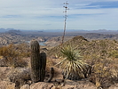 photo thumbnail #11