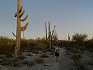 photo thumbnail #8