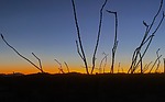 photo thumbnail #9
