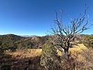 photo thumbnail #5