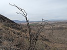 2025-02-09 :1: Alta Trail :: astrobrewer