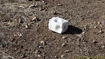 photo thumbnail #14