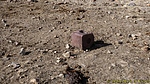 photo thumbnail #15