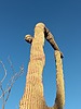 photo thumbnail #4