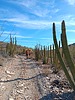 photo thumbnail #15