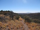 photo thumbnail #5