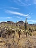 photo thumbnail #5