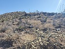 photo thumbnail #7