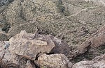photo thumbnail #6