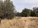 photo thumbnail #6