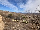 photo thumbnail #9