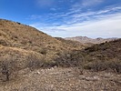 photo thumbnail #12