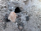 photo thumbnail #6
