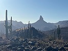 photo thumbnail #9