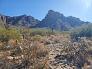 photo thumbnail #7