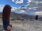 photo thumbnail #4