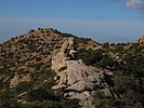 photo thumbnail #11