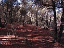 photo thumbnail #12