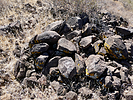2025-02-11 :3: West Mountain :: FLYING_FLIVER