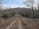 photo thumbnail #2