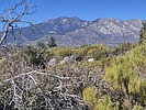 2025-01-15 :3: Micro - South Fork - Thomas :: DixieFlyer