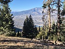 2025-01-15 :3: Micro - South Fork - Thomas :: DixieFlyer