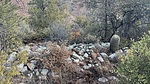 photo thumbnail #2