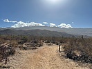 photo thumbnail #3