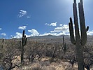 photo thumbnail #6